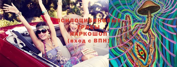 амф Аркадак