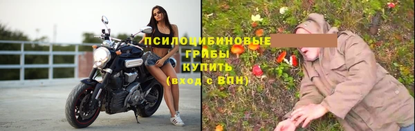 прущие крисы Алексеевка
