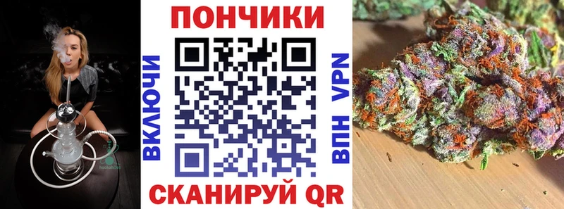 Купить где  Староминская  Бошки марихуана ГИДРОПОН 